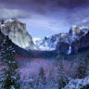 Meet your Posher, Jack